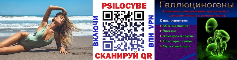 хочу наркоту  Новошахтинск  Галлюциногенные грибы Magic Shrooms 