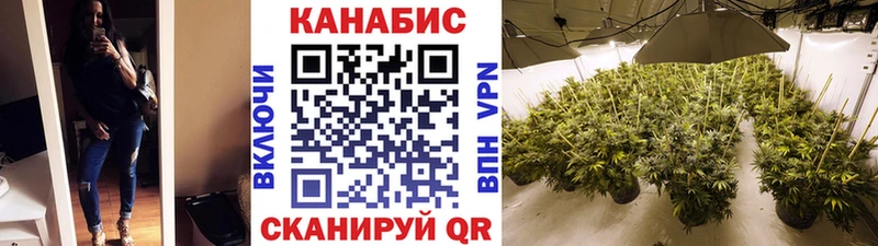 где купить наркоту  Новошахтинск  Конопля конопля 